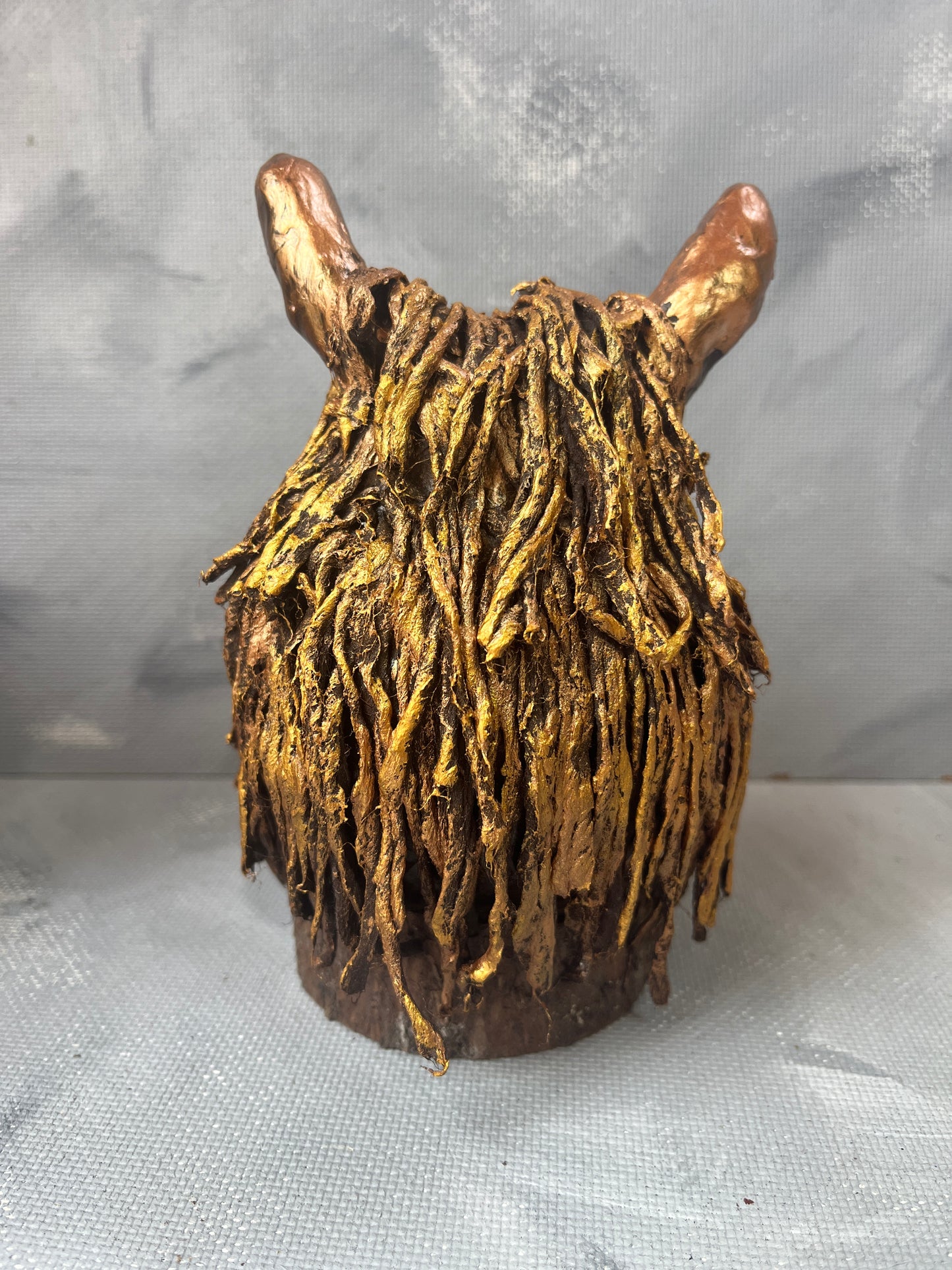 Highland coo