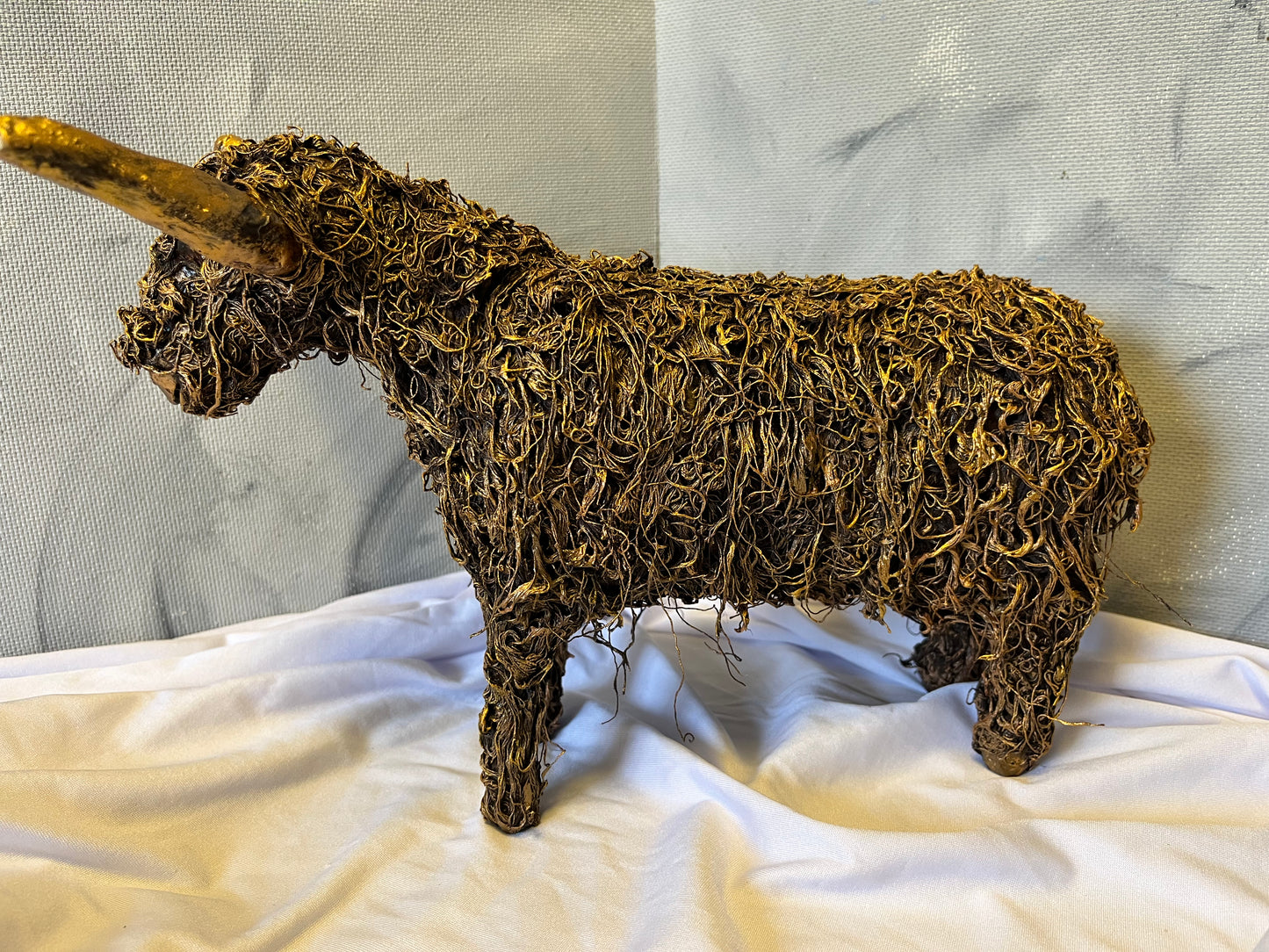 Highland Coo