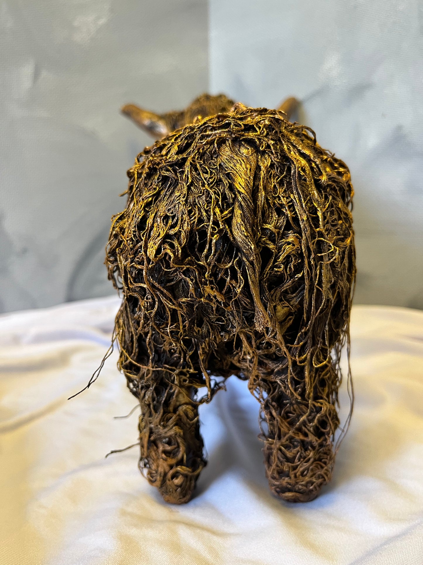 Highland Coo
