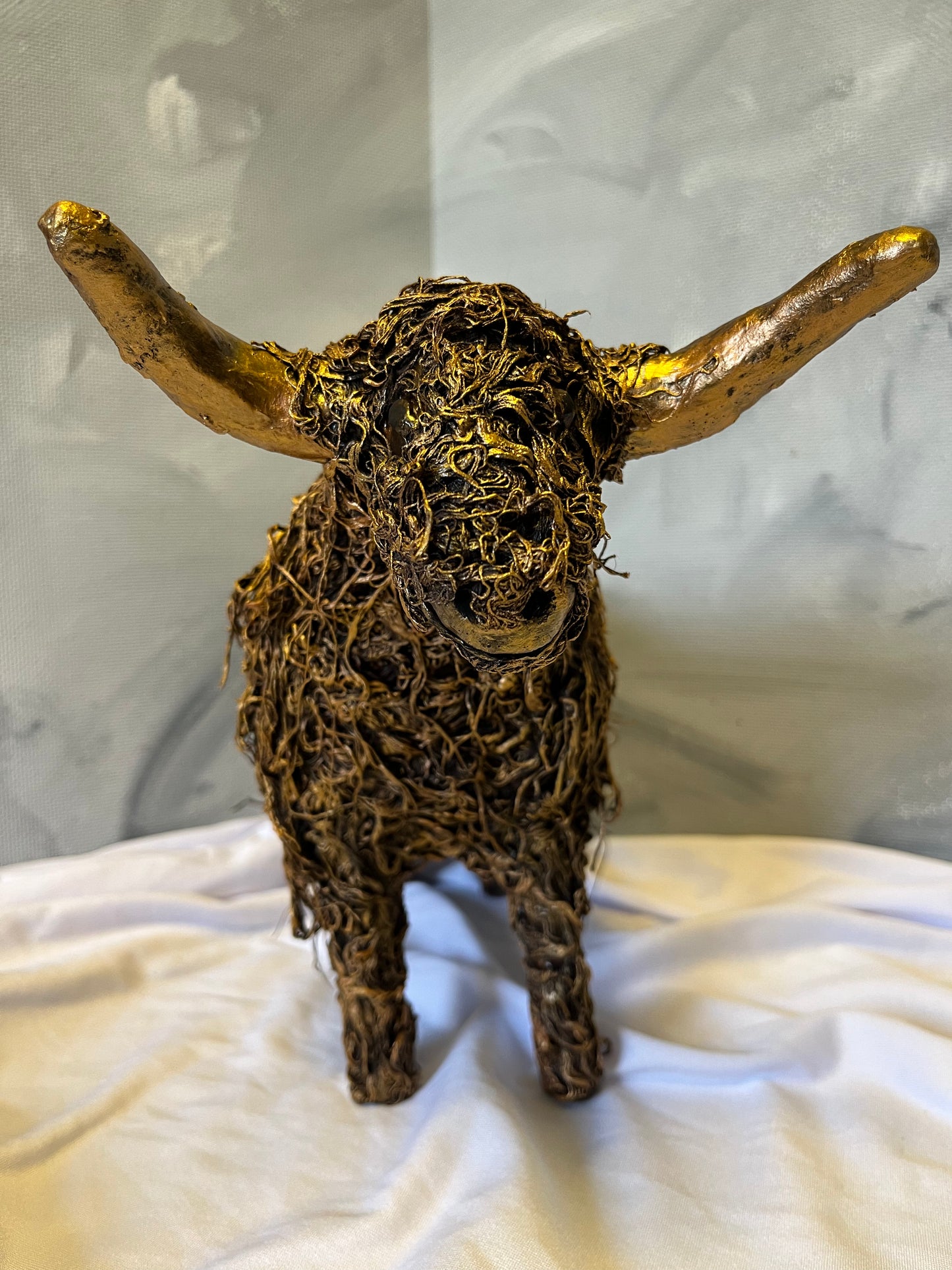 Highland Coo