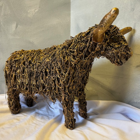 Highland Coo