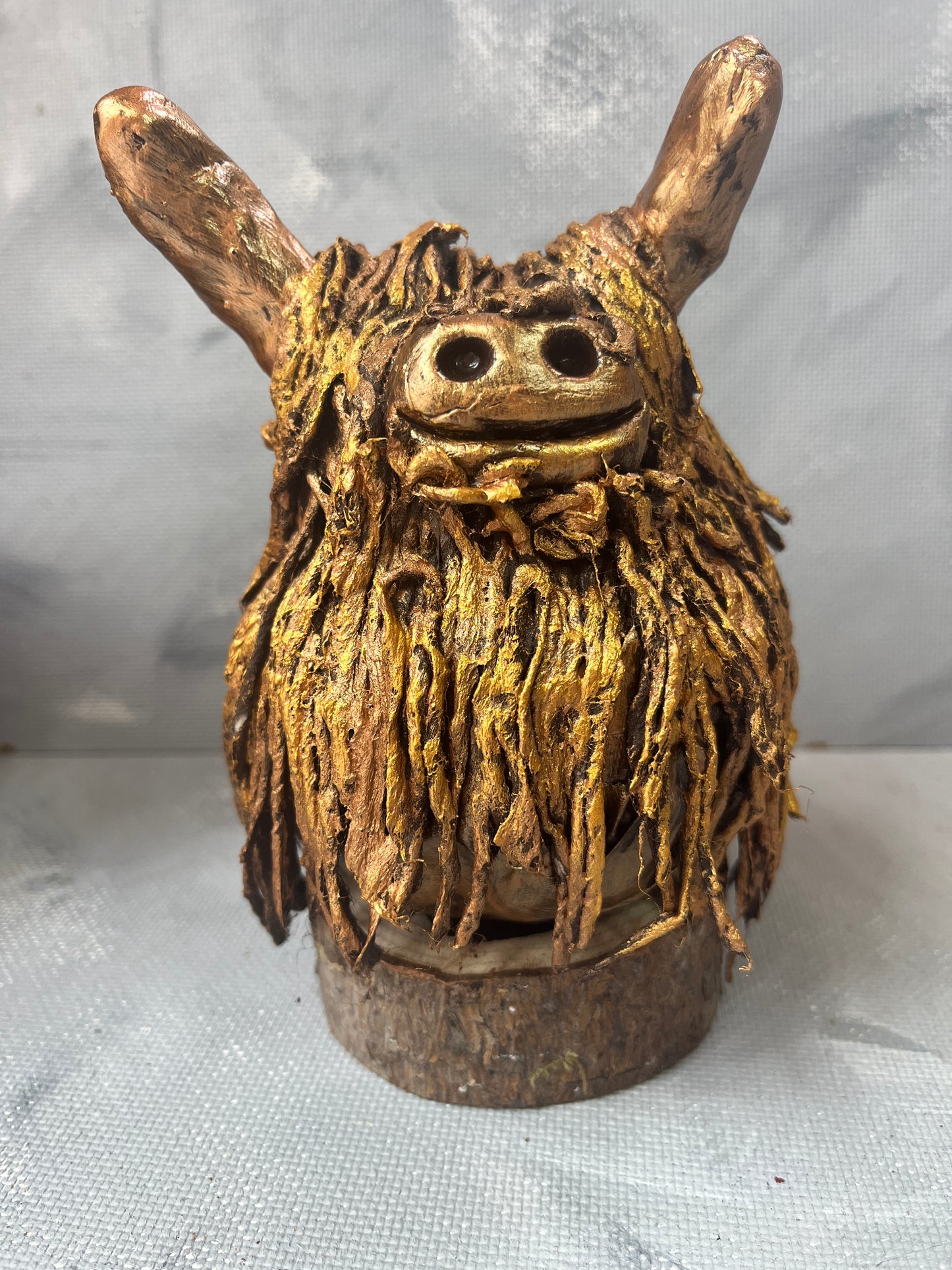 Highland coo