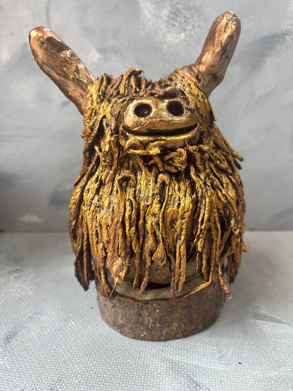 Highland coo