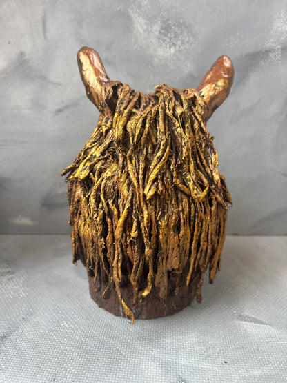 Highland coo