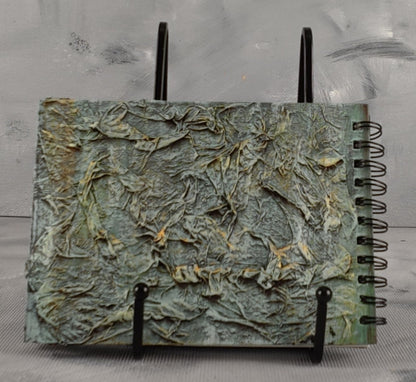 A6 journal: Dragons eye