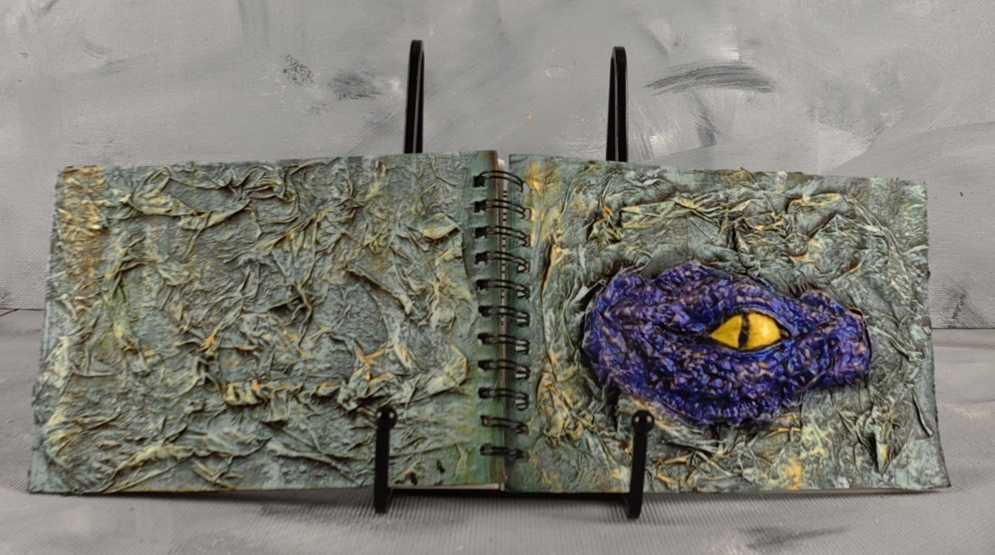 A6 journal: Dragons eye