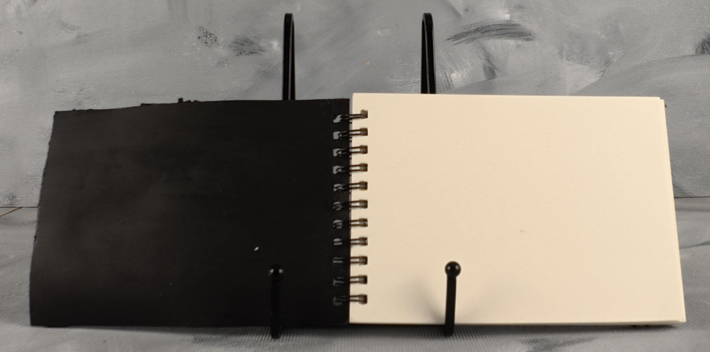 A6 journal: Dragons eye